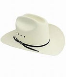 Stetson Men's Rancher 81 Black Eye 10X Straw Hat