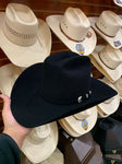 Stetson Men's Shasta 10X Black Felt Hat