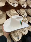 Stetson Men's Rancher 6X White Hat