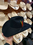 Stetson Men's Roper 6X Black Felt Hat