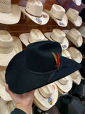 Stetson Men's Roper 6X Black Felt Hat