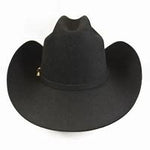 Stetson Men's Palacio II 6X Black Felt Hat