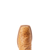 Ariat Men's Broncy Antique Saddle FQ Ostrich Boot