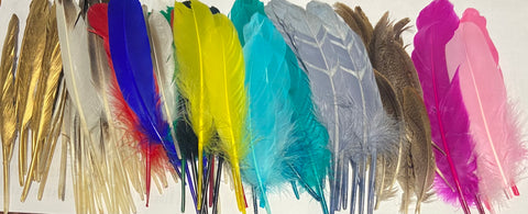 Corral Western Wear Assorted Hat Feather