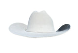 Stetson Men's Skyline 6X Silver Grey Felt Hat