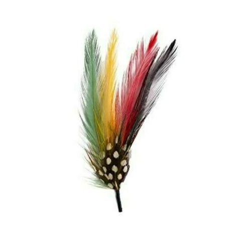 Stetson Multicolor Hat Feather